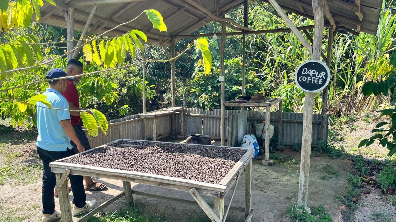 Tour alla piantagione di caffè e fattoria delle api di Bintan + mini deserto e lago blu con trasferimento in hotel