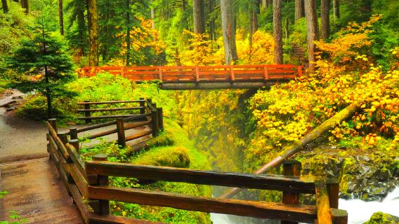 Olympic National Park 1-day tour from Seattle [bus/Group of 12]