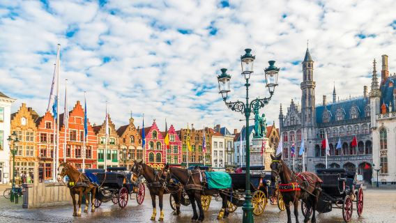 Bruges: Guided Tour + Transport