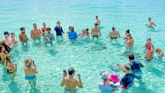 Grand CaymanExperiences