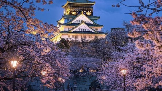 福岡旅行服務