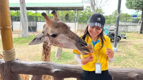Excursión familiar de un día al Zoológico del Rey León de Ayutthaya