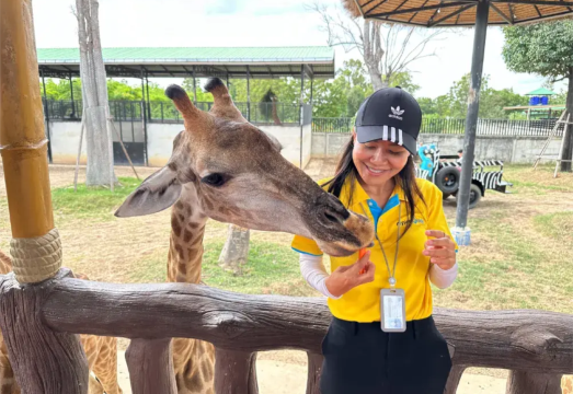 Ayutthaya Lion King Zoo Family Day Tour