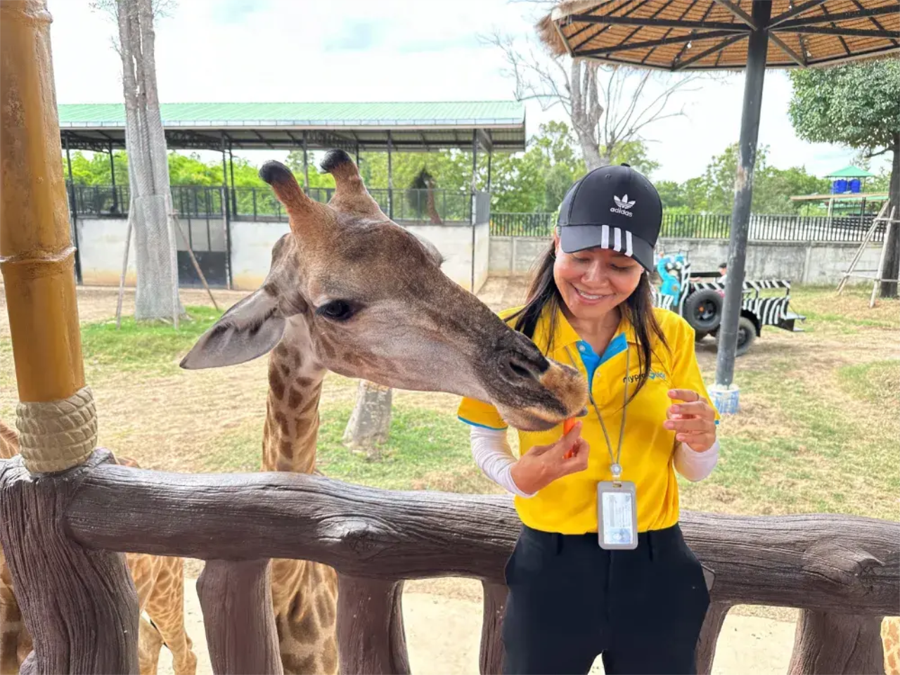 Ayutthaya Lion King Zoo Family Day Tour