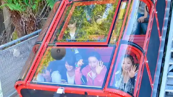 Sydney Blue Mountains Day Tour | Mercedes-Benz small group/No Tipping/3 Types of Cable Cars/Lincoln's Rock