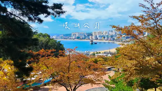 浦項太空漫步 X 環湖公園賞櫻|釜山出發