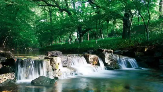 上海出發一日遊:杭州九溪十八澗健行深呼吸之旅
