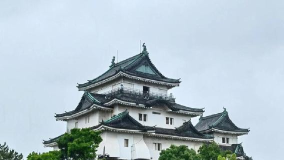 日本大阪+和歌山白濱溫泉+三段壁一日遊/行程可調-可訂製多日