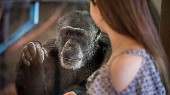 Monarto Safari Park: General Admission Tickets