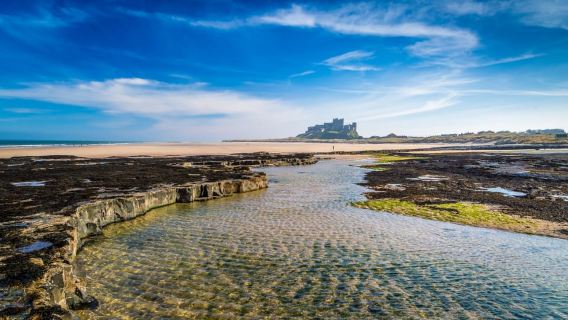 Holy IslandTours