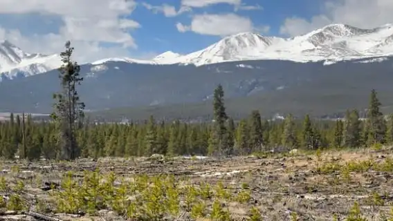 Leadville: Turquoise Lake 3-Hour E-Bike Tour