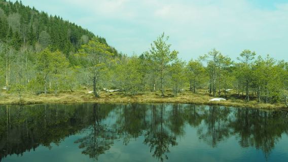 From Brasov: Small-Group Volcanic Lake Day Trip