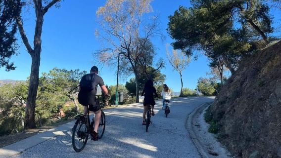 Mountain Electric Bike Rental in Malaga