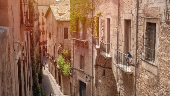 Barcelona: Complete Private Tour Girona