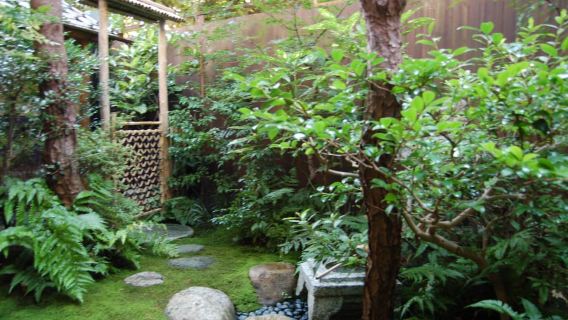 Kioto: Theeceremonie-ervaring bij kaarslicht