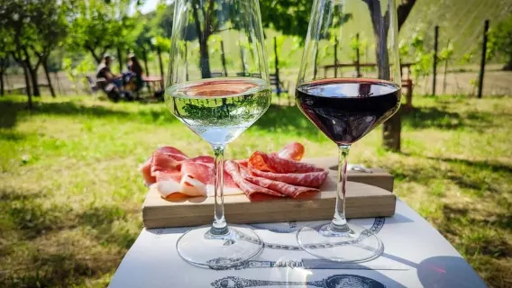 Nửa ngày khám phá Chianti: Thưởng thức trái tim của Tuscany