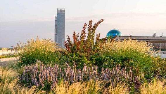 Turin: FIAT-Historisches Museum und Lingotto-Viertel-Tour
