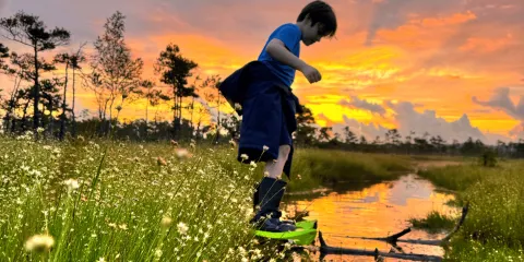 里加出發:拉脫維亞野外沼澤鞋漫步