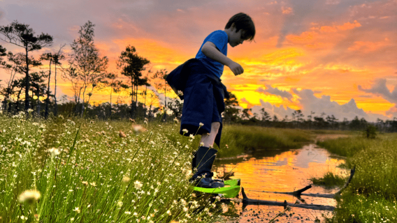 Riga: un'epica passeggiata con le ciaspole nella natura selvaggia della Lettonia