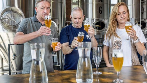 Rotterdam: Beer Brewery 'Noordt' Beer Tasting