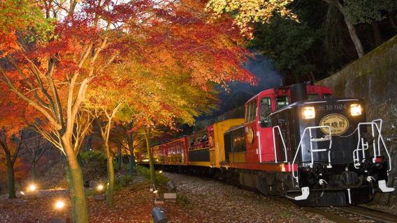 2026秋季限定京都金閣寺+嵐山夜楓點燈+嵐山小火車一日遊