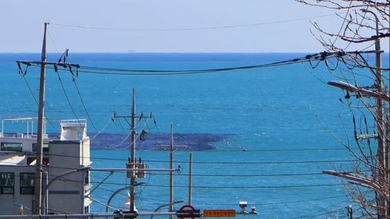tour di un giorno a Pusan con guida in cinese: passerella costiera di Oryukdo e parco Blue Line di Haeundae