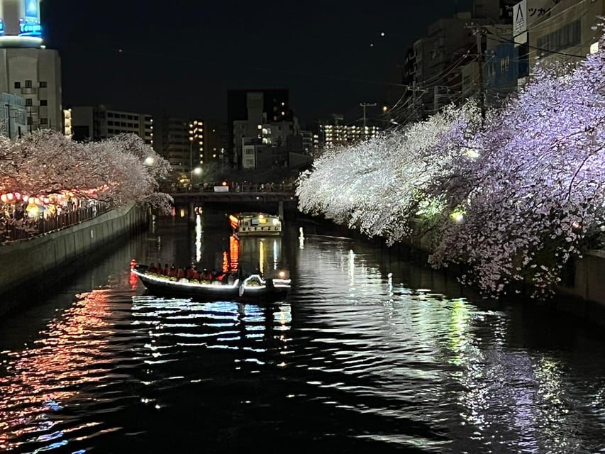Cherry Blossom Boat tour in Yokohama, Minato Mirai