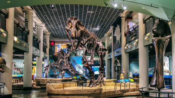 【費城包車】船屋街+羅丹&費城藝術博物館+賓夕法尼亞大學