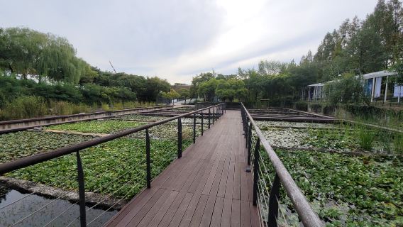 Incheon Airport pickup + Han River tour (Seonyudo Park > Seoul Hamgong Park > Haengjusanseong Fortress)