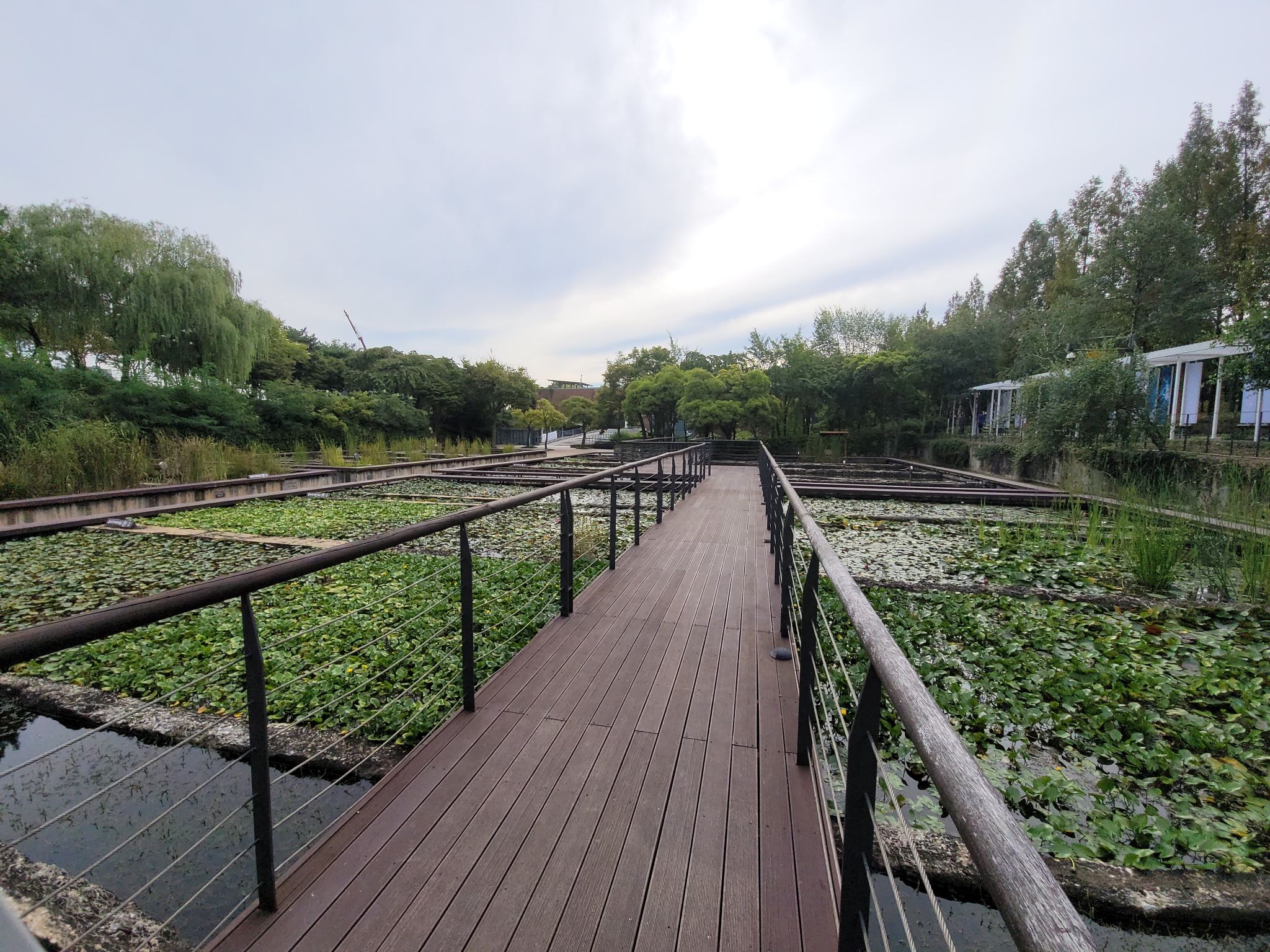 Incheon Airport pickup + Han River tour (Seonyudo Park > Seoul Hamgong Park > Haengjusanseong Fortress)