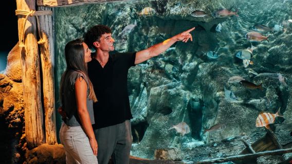 Lanzarote: biglietto d'ingresso all'Acquario