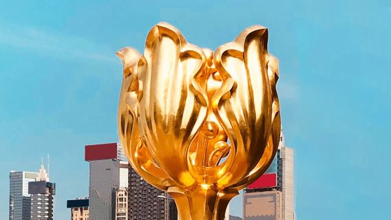 Hong Kong 1-day tour Victoria Peak + Tsim Sha Tsui + Victoria Harbour + Avenue of Stars HK + optional 2 meals