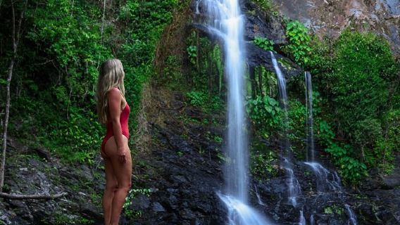 Tur Perairan Daintree