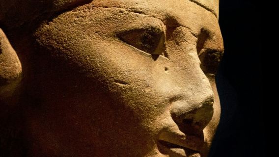 Egyptian Museum: Skip The Line Ticket with Guided Visit + City Walking Tour
