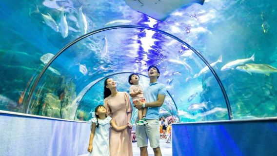 VinKE & Vinpearl Aquarium: вхідний квиток