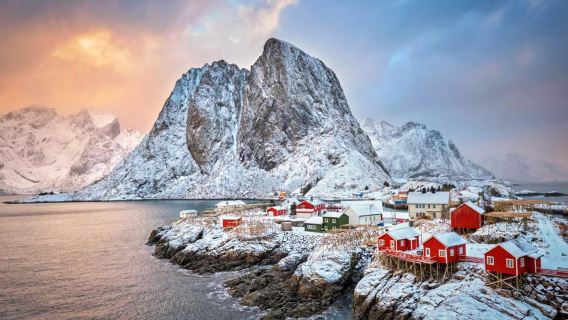 Winter in the North of Lofoten Islands - Half-Day Small Group Tour