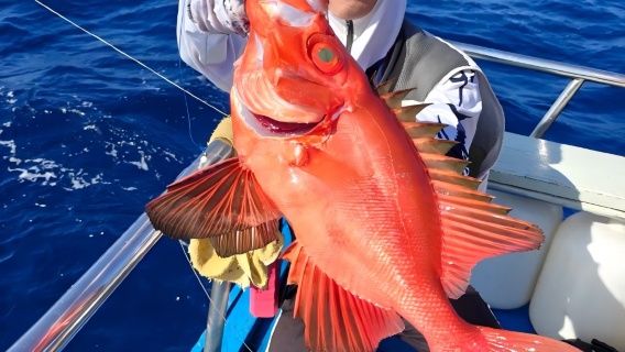 Pattaya Bootsverleih zum Angeln Halbtagesausflug|Gemeinsame Bootsfahrt zum Hochseefischen oder Nachtfischen mit Charterboot|Professionelles Hochseefischen – pure Freude am Angeln