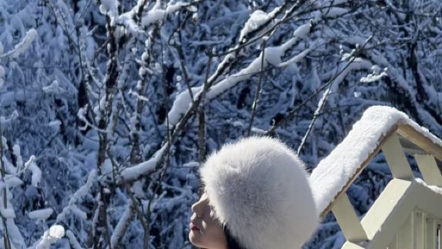 Chengdu Luding Hailuogou Chengdu