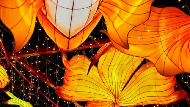 珠海出發打卡唐家古鎮+梅溪牌坊+北山村+淇澳島包車一日遊