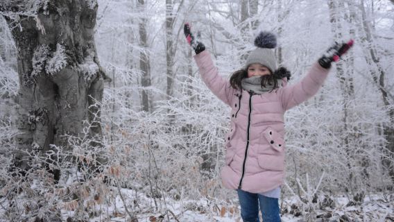 Tbilisi: Sabaduri Fairytale Forest, Bear Sanctuary & Georgian Stonehenge