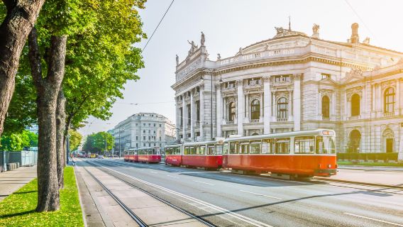 Excursion d'une journée au Château de Schönbrunn, Hofburg, Ringstrasse de Vienne et Danube en voiture avec chauffeur