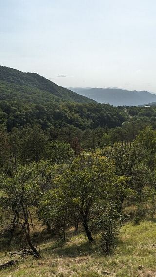 National Botanical Garden + Narikala Castle + Metekhi Church of the Nativity of the Mother of God + Holy Trinity Cathedral + Tbilisi Sea
