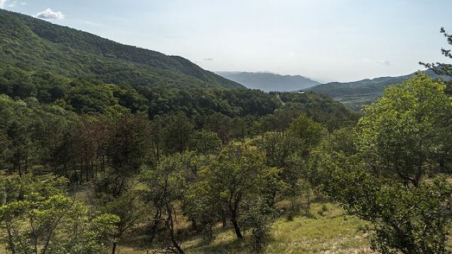 Jardín Botánico Nacional + Fortaleza de la Madre + Iglesia de Metekhi + Catedral de la Santísima Trinidad + Mar de Tiflis
