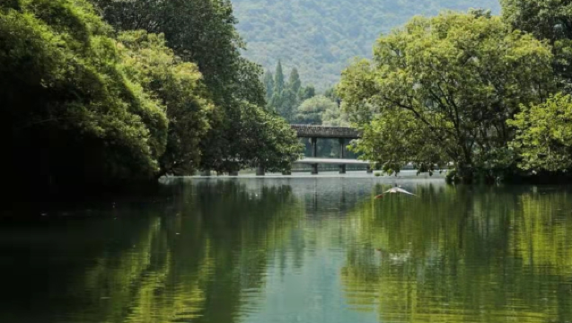 Shaoxing, Zhejiang: Bandar Purba Shaoxing + Kawasan Pemandangan Keyan Shaoxing | Perjalanan Boleh Disesuaikan | Sewaan Peribadi Satu Pesanan Satu Kumpulan