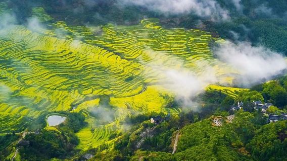 Lawatan Setengah Hari [Berlepas Setiap Hari Bermula 1 Orang + Jemputan Pintu ke Pintu] Huangling Wuyuan Jiangxi Termasuk Tiket Masuk dan Tali Sawat