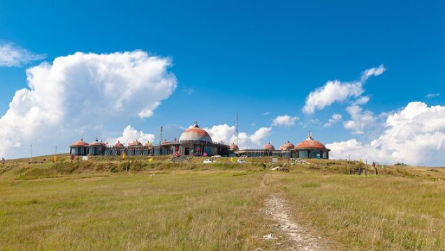 Excursion d'une journée au parc national forestier de Hadamen et au parc national écologique de Hongshiya au départ de Hohhot