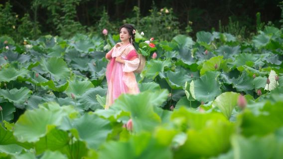 Φωτογράφιση ταξιδιού στο Λονγκούι[Συνοδευτική φωτογράφηση στο σπίτι, φωτογράφηση οικογενειών και ζευγαριών, φωτογραφίες, σύντομα βίντεο, διαφημιστικά βίντεο, πορτραίτα, φωτογράφηση γάμου, όλα τα αρνητικά περιλαμβάνονται, μετάφραση]