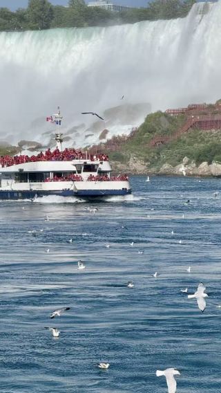 Niagara falls tour with optional seasonal maid of the mist cruise (round-trip from New York)