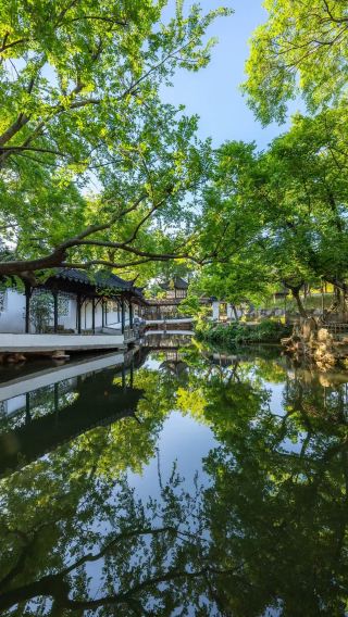 上海浦東機場-橫店市區|點對點單趟接/送|定制行程+接待外賓