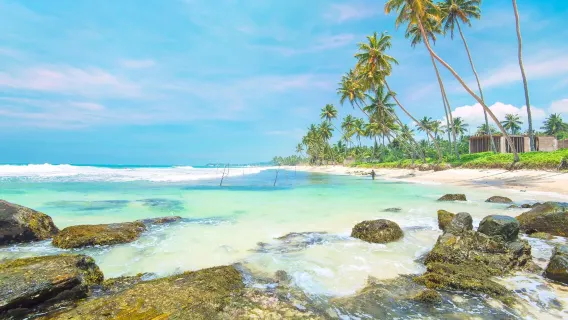 [Excursión en tren costero de Galle] Ciudad vieja de Galle + Torre del reloj del fuerte + Playa de Unawatuna